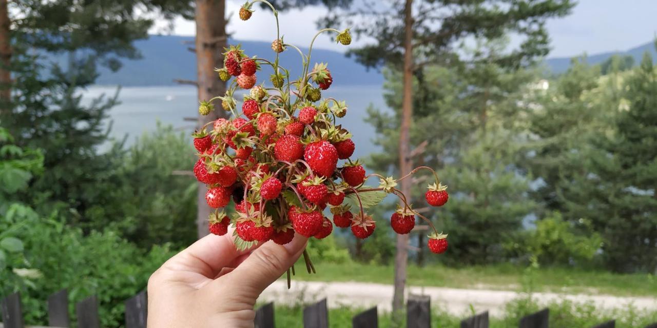 Къща За Гости Сиана Доспат Екстер'єр фото